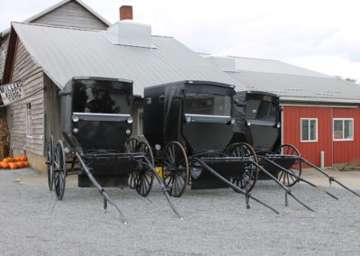 Buggy der Amish
